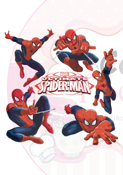 Принт /Spiderman/Спайдърмен/ [Sku]
